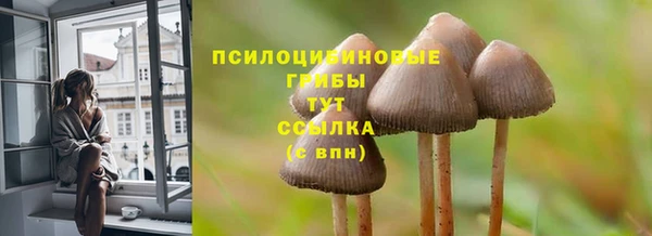 гидропоника Красноперекопск