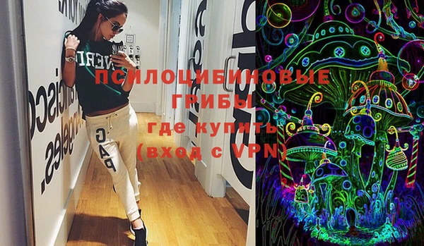 скорость Козловка